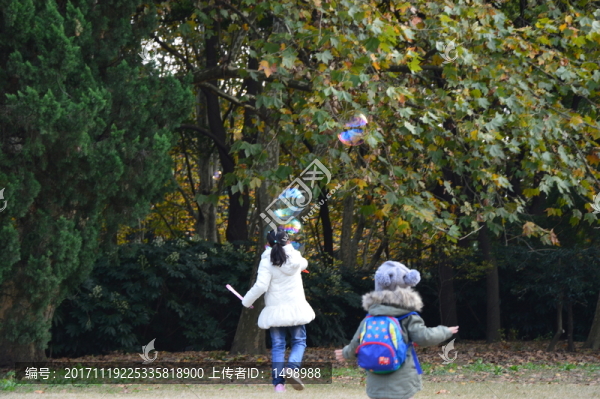 森林公園