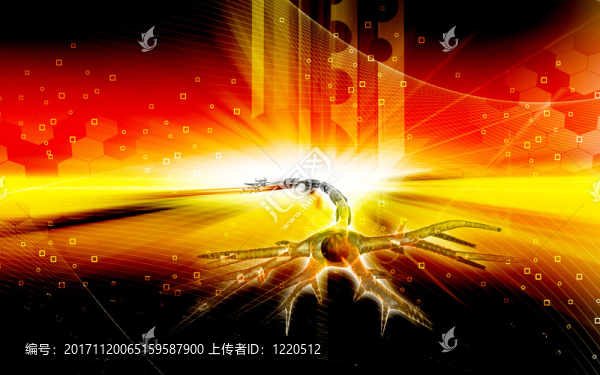教育