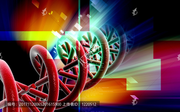 教育