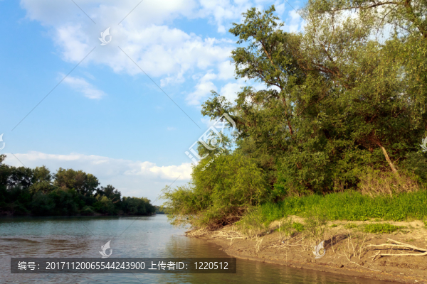 sava，kupinovo，塞爾維亞的河流島嶼