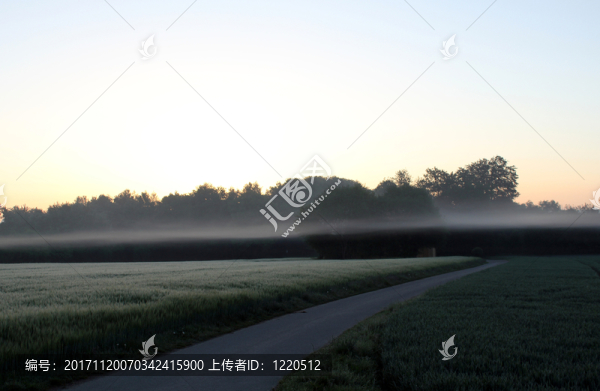 清晨