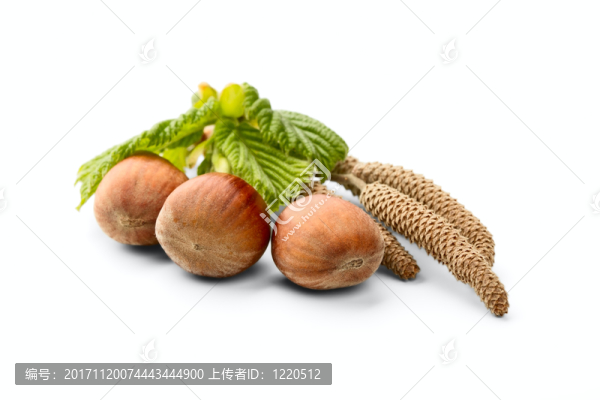 食物