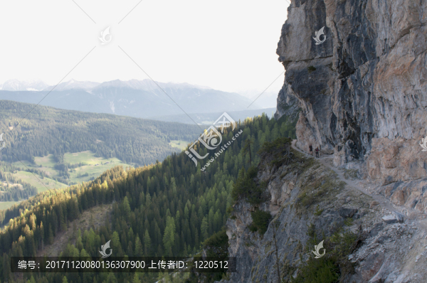 山