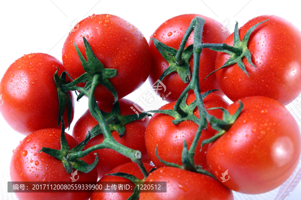 食物
