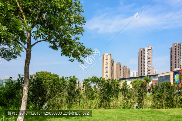蓮花湖公園景觀