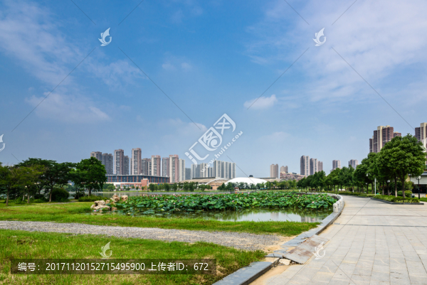蓮花湖公園景觀