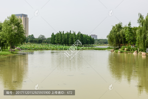蓮花湖公園景觀