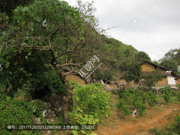 山區(qū)農(nóng)村
