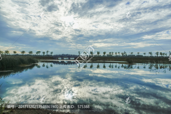 濕地風景