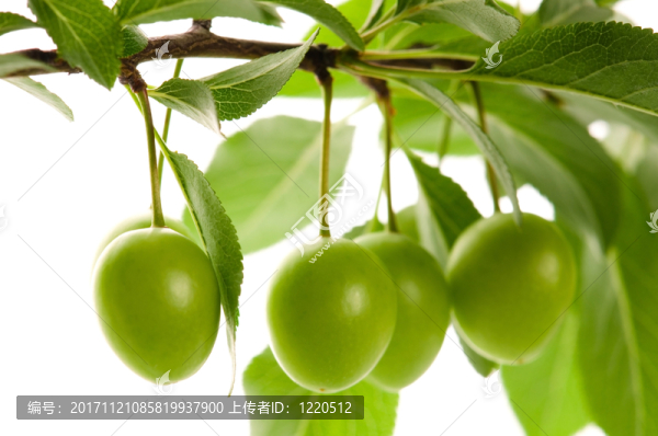 隔離的