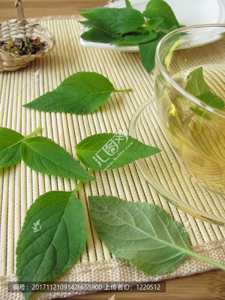 茶與菠蘿鼠尾草