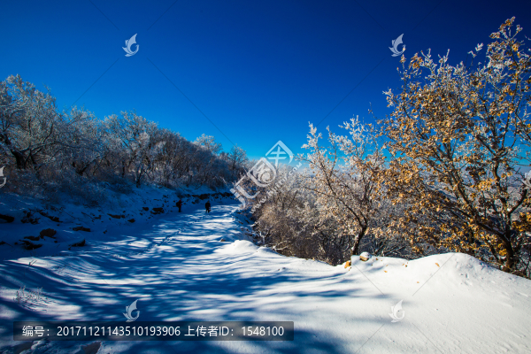 冬日雪景