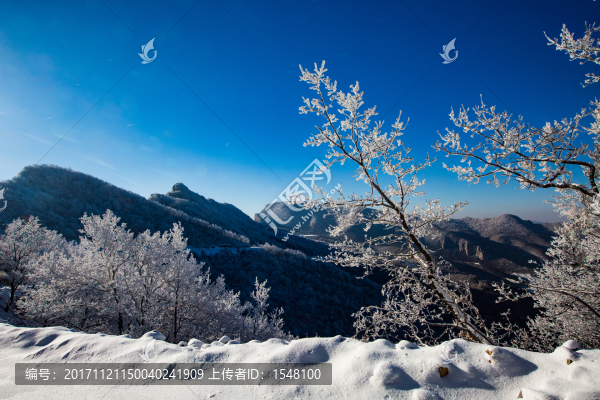 冬日雪景