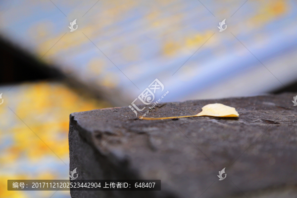 銀杏葉,落葉,秋葉,黃葉,屋頂