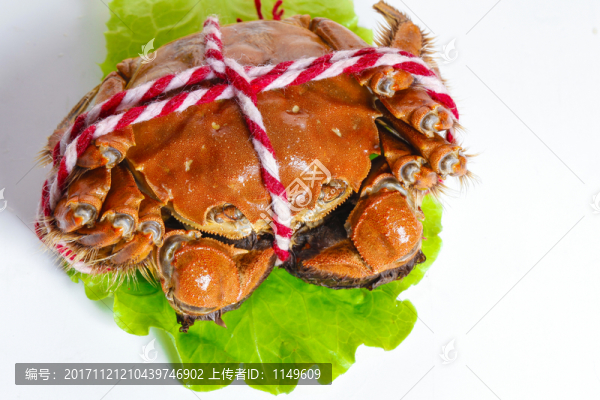 大閘蟹