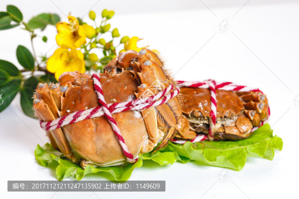 大閘蟹