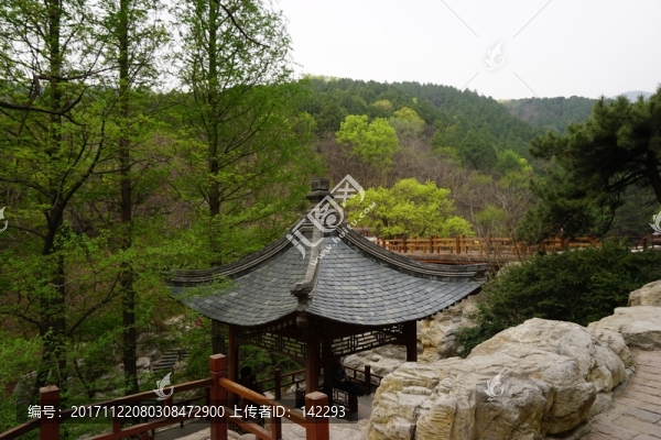 櫻桃溝