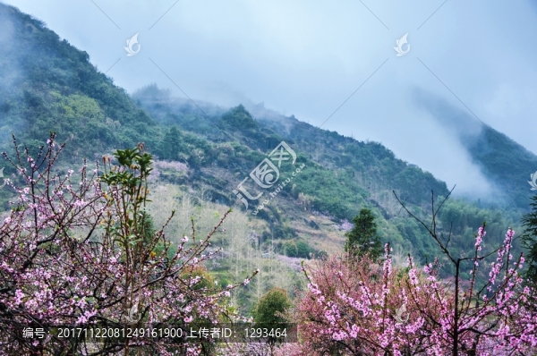 田園春色