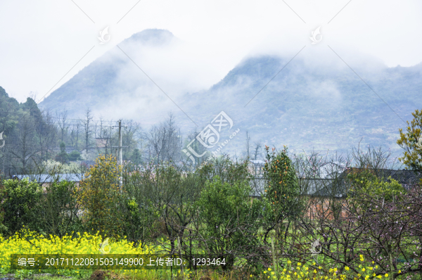 田園春色