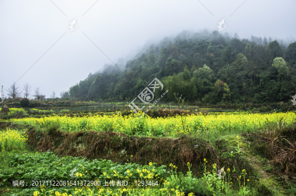 田園春色