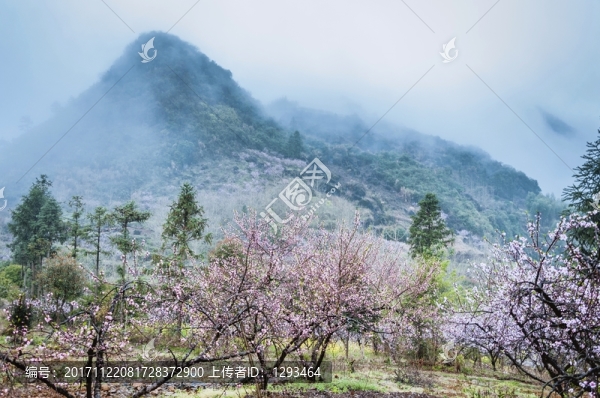 山村春色