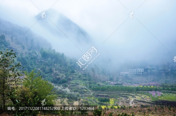 山村春色