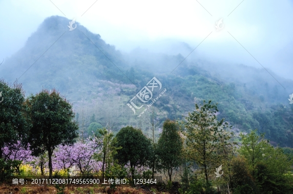 山村春色