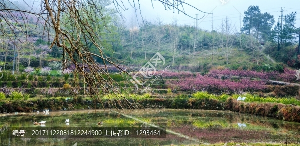山村春色
