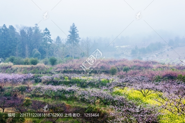 山村春色