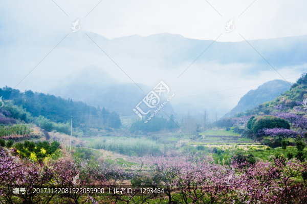 山村春色