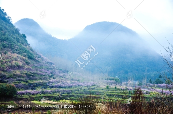 山村春色