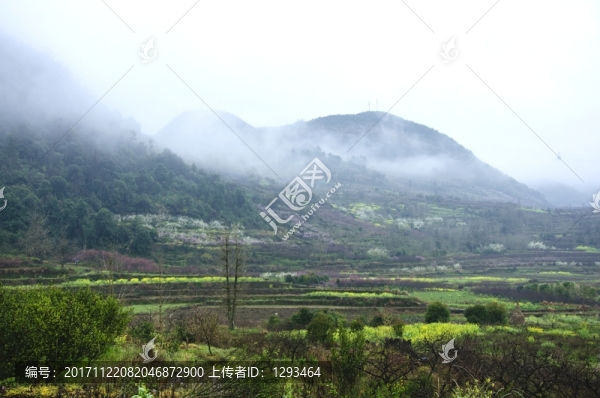 山村春色