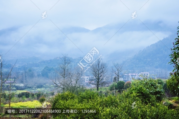 山村春色