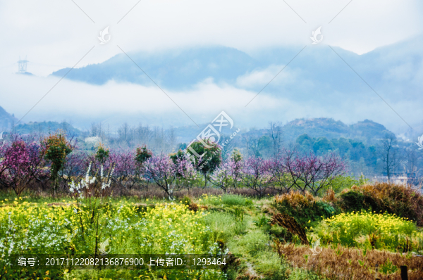 山村春色