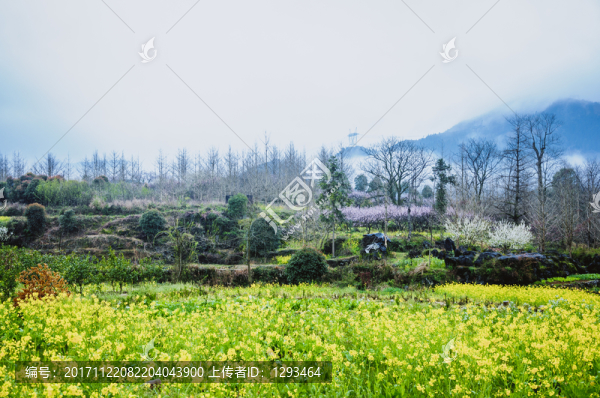 山村春色
