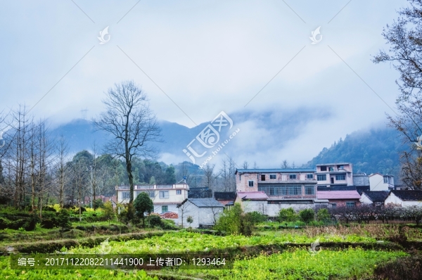 山村春色