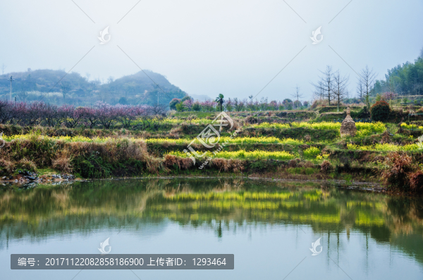 山村早春