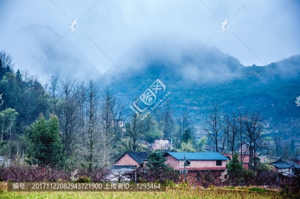 山村早春