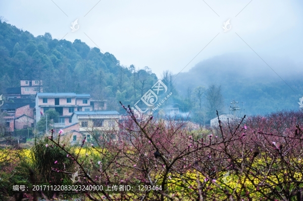 山村早春