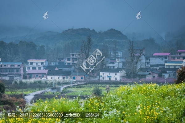 山村早春