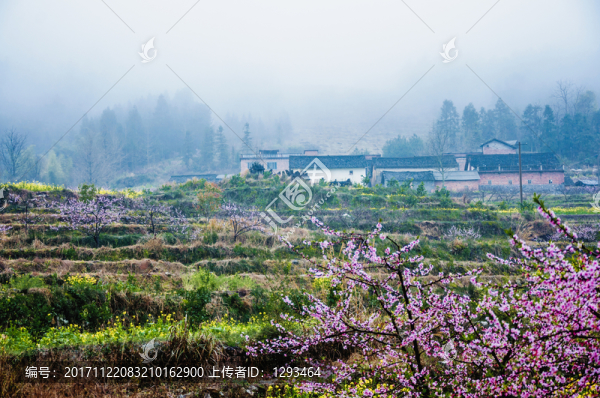 山村早春