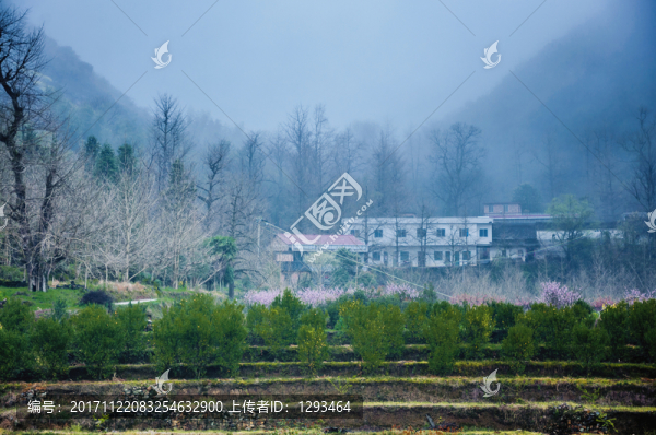 山村早春