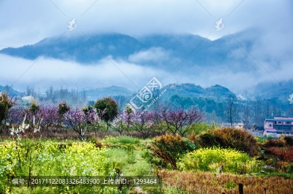 山村早春