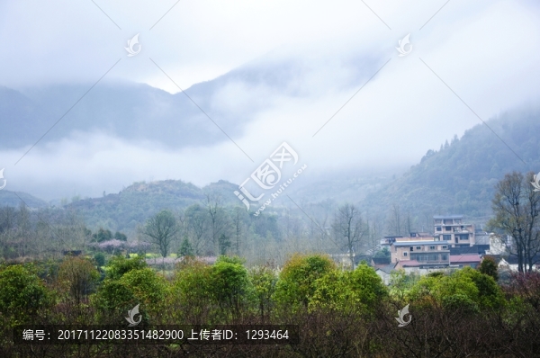 山村早春