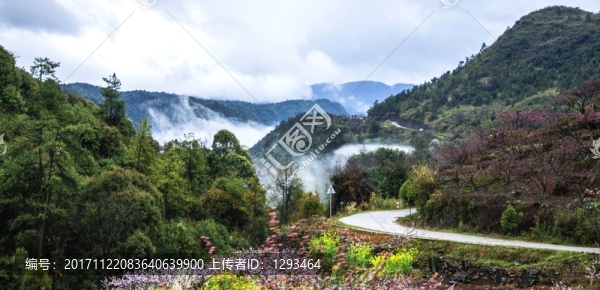 霧色山野