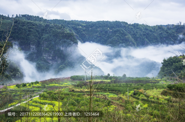 霧色山野