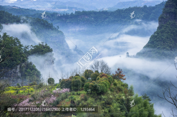 霧色山野