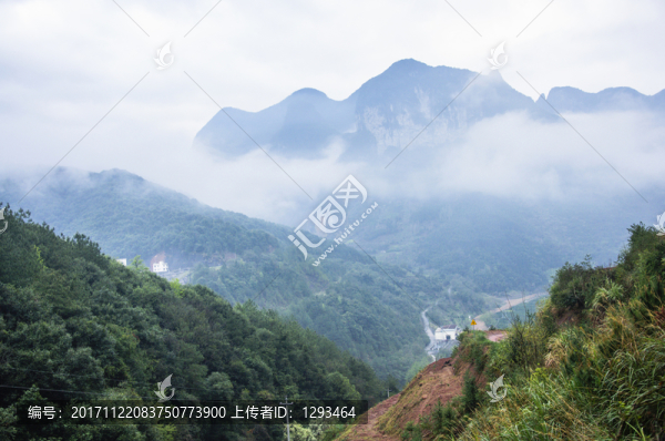 霧色山野