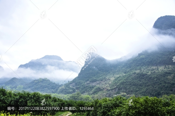 霧色山野