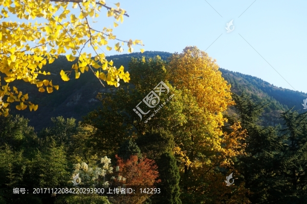 秋色